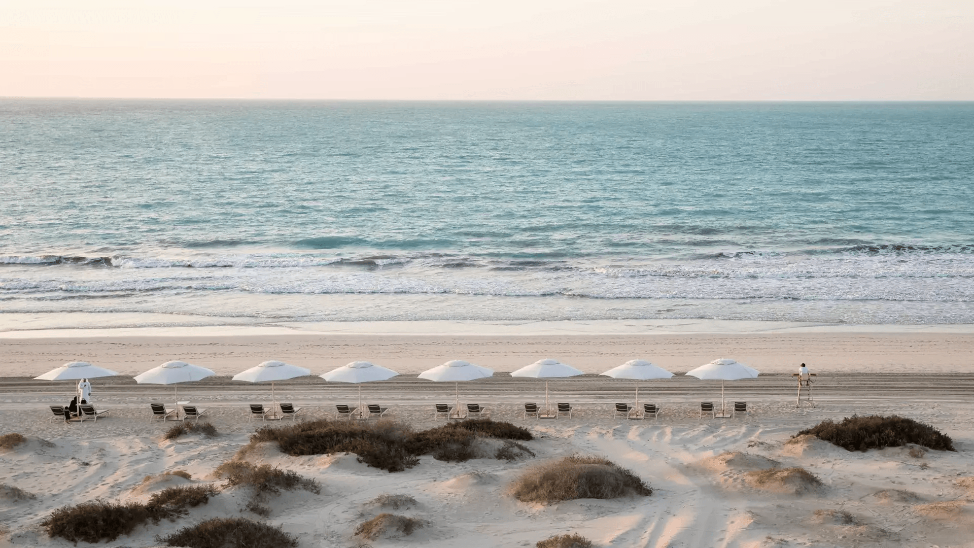 Coastal scenery with umbrellas, chairs, plants, water, and blue skies on Saadiyat Island