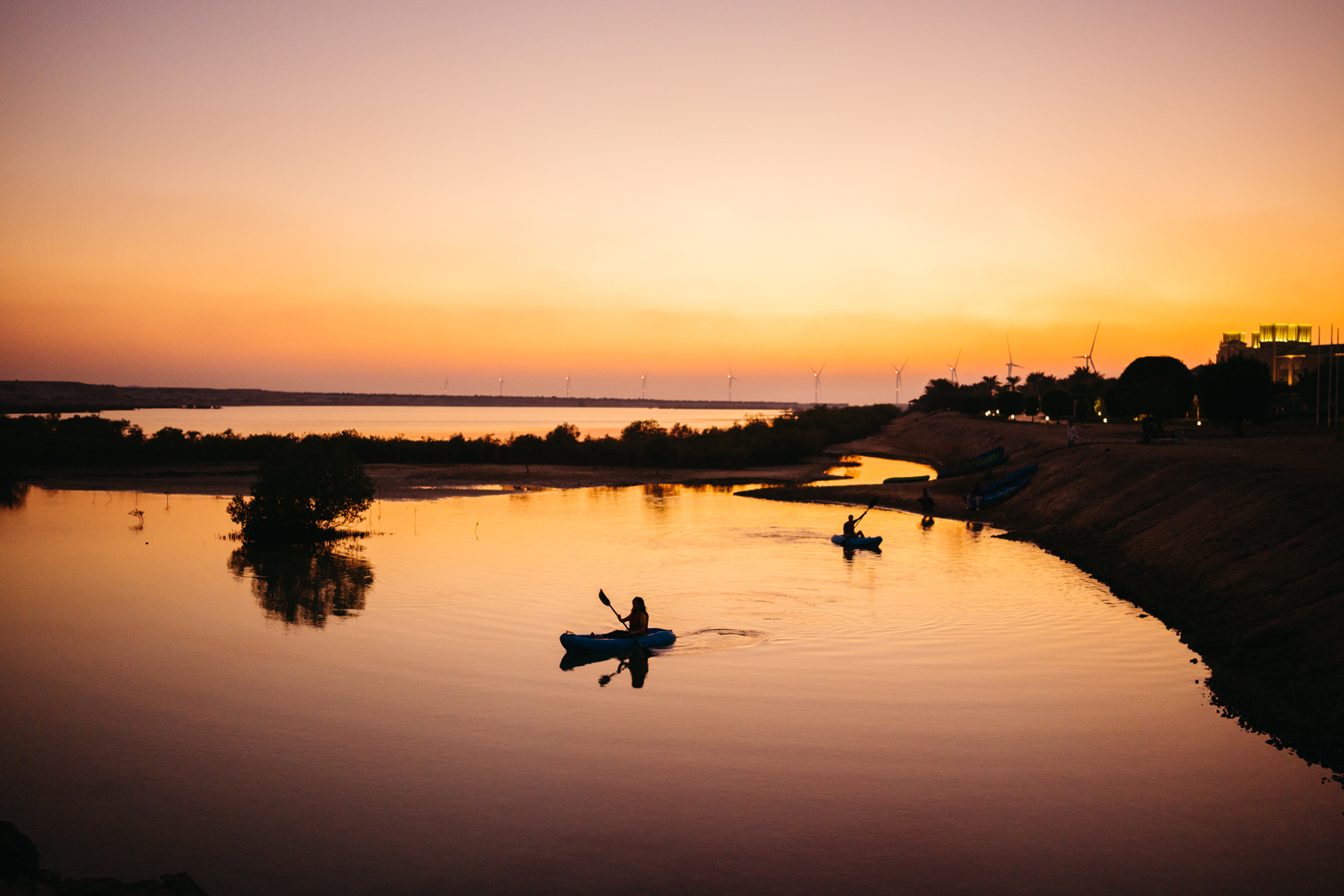 Sir Bani Yas Island