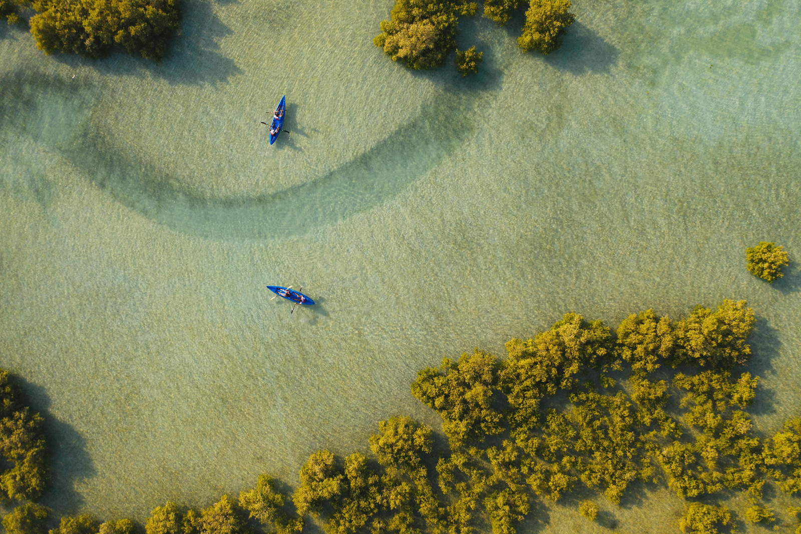 Two boats on water with trees in background - Sir Bani Yas Island, Abu Dhabi