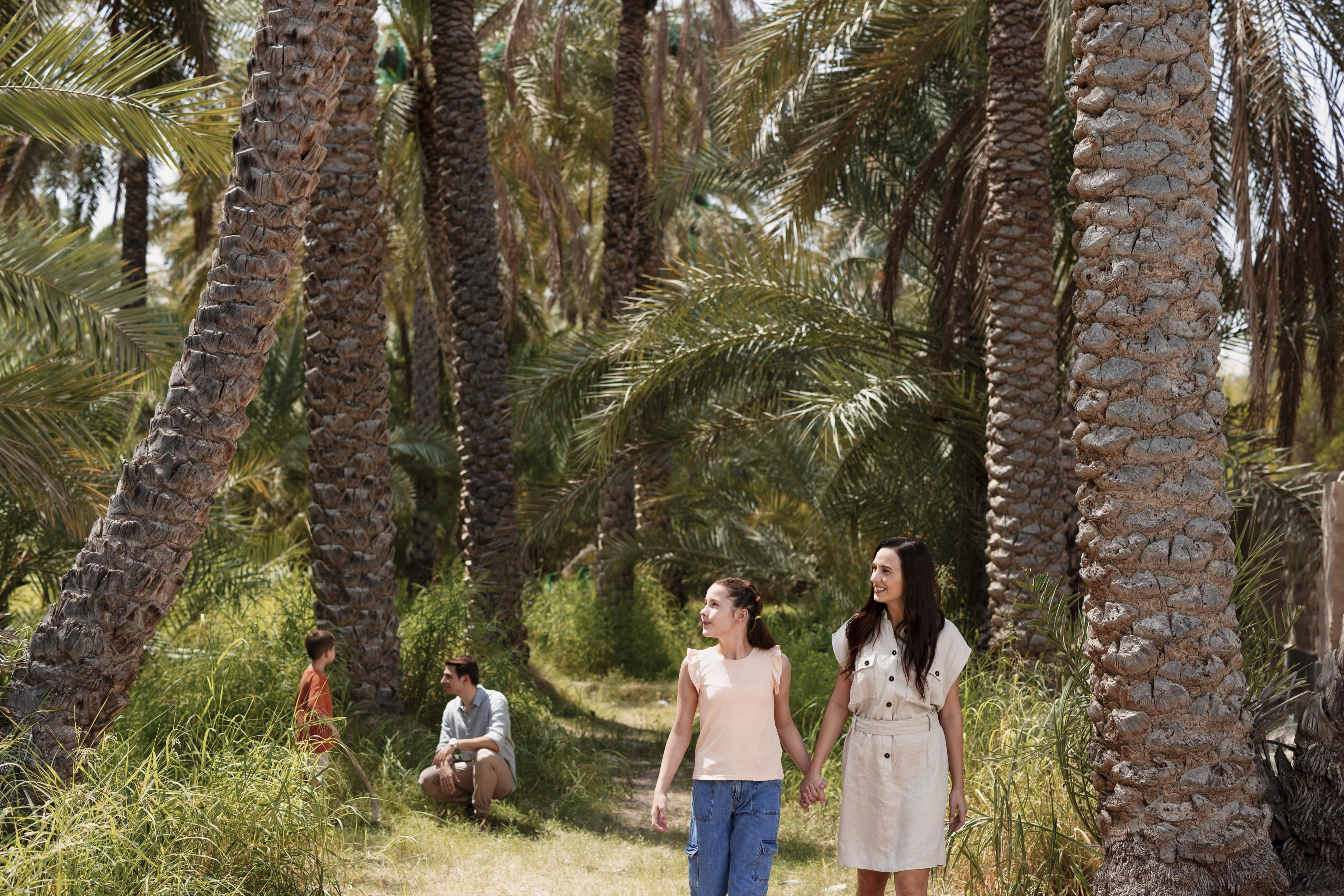 Hike, splash and drive in Al Ain