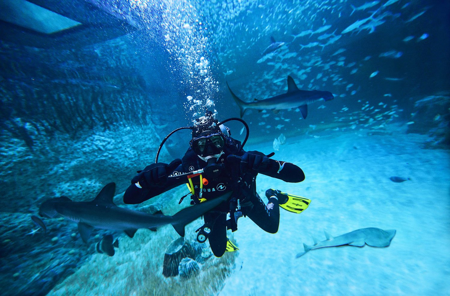 Must-try adventure sports