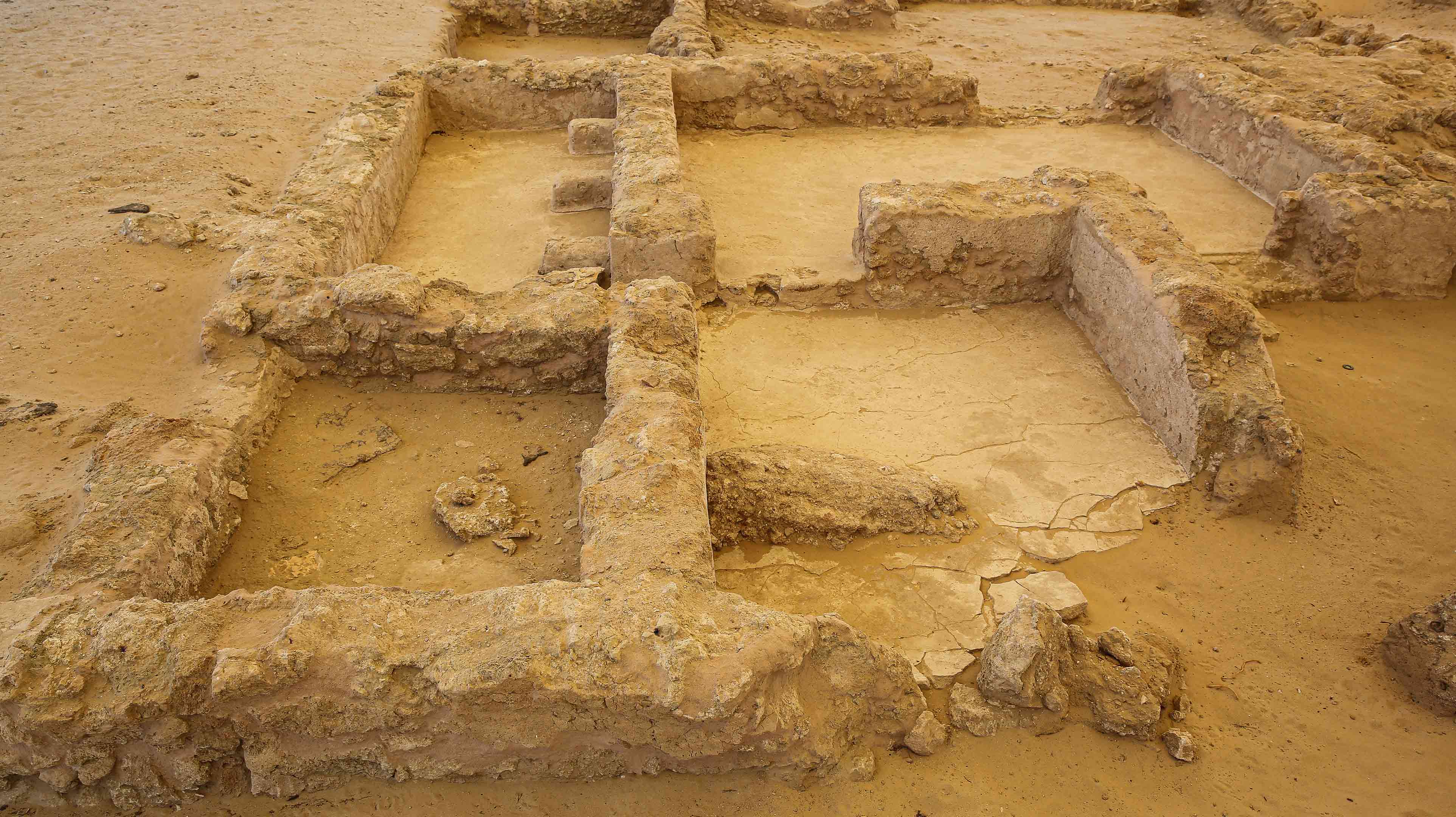 Ruins of the church and monastery of Sir Bani Yas Island