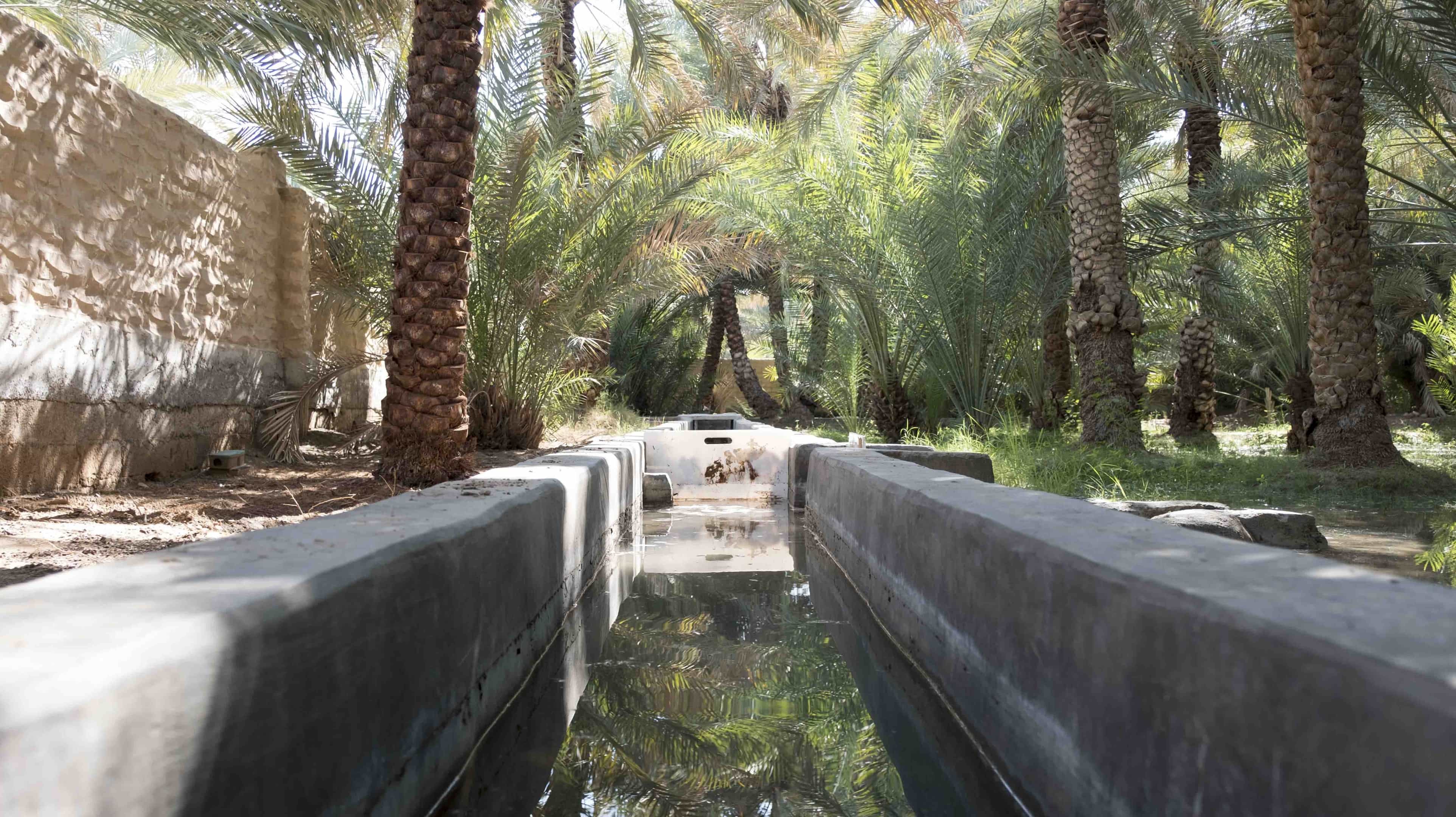 Al Hili Oasis