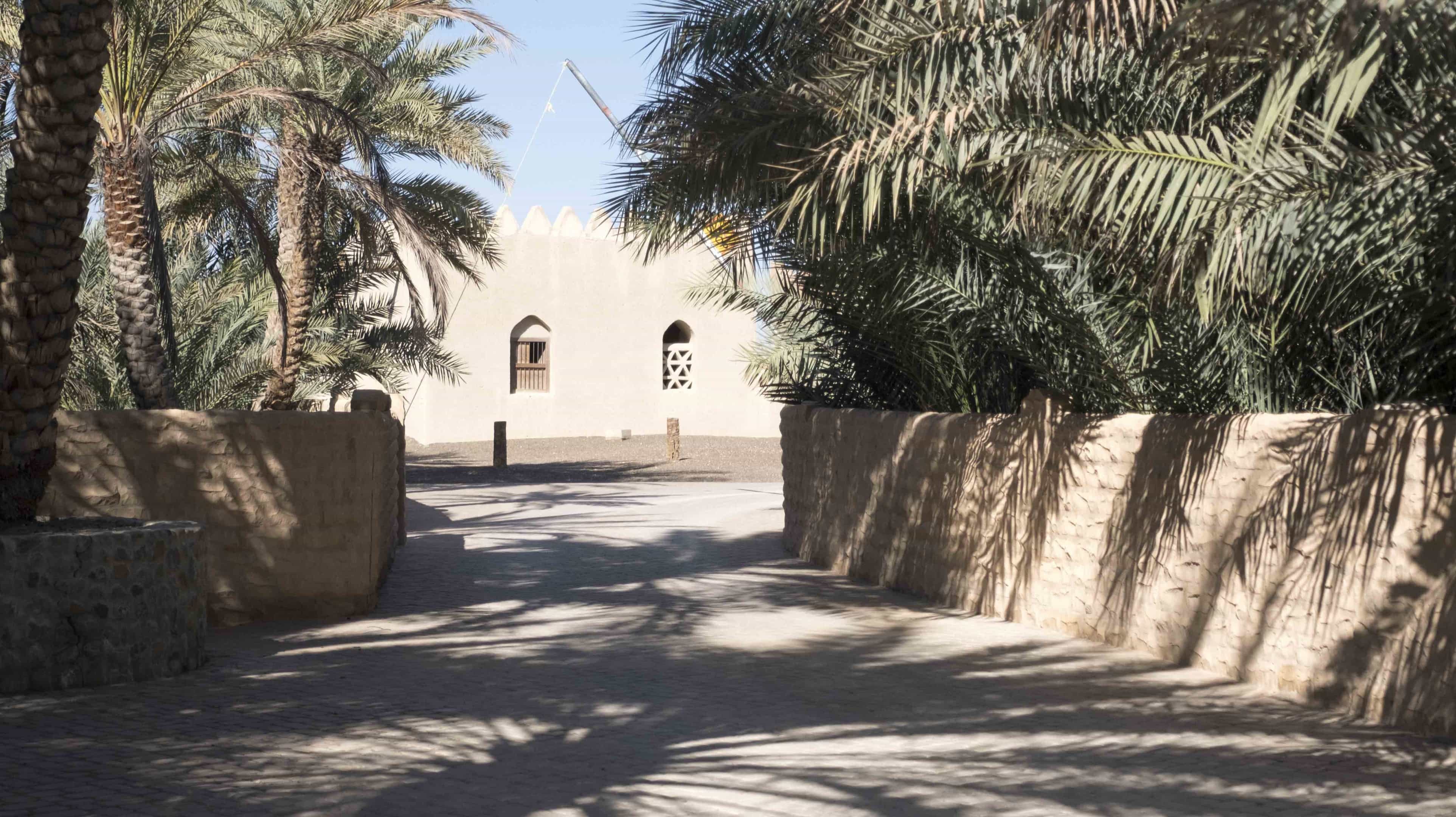 Oaza Al Qattara