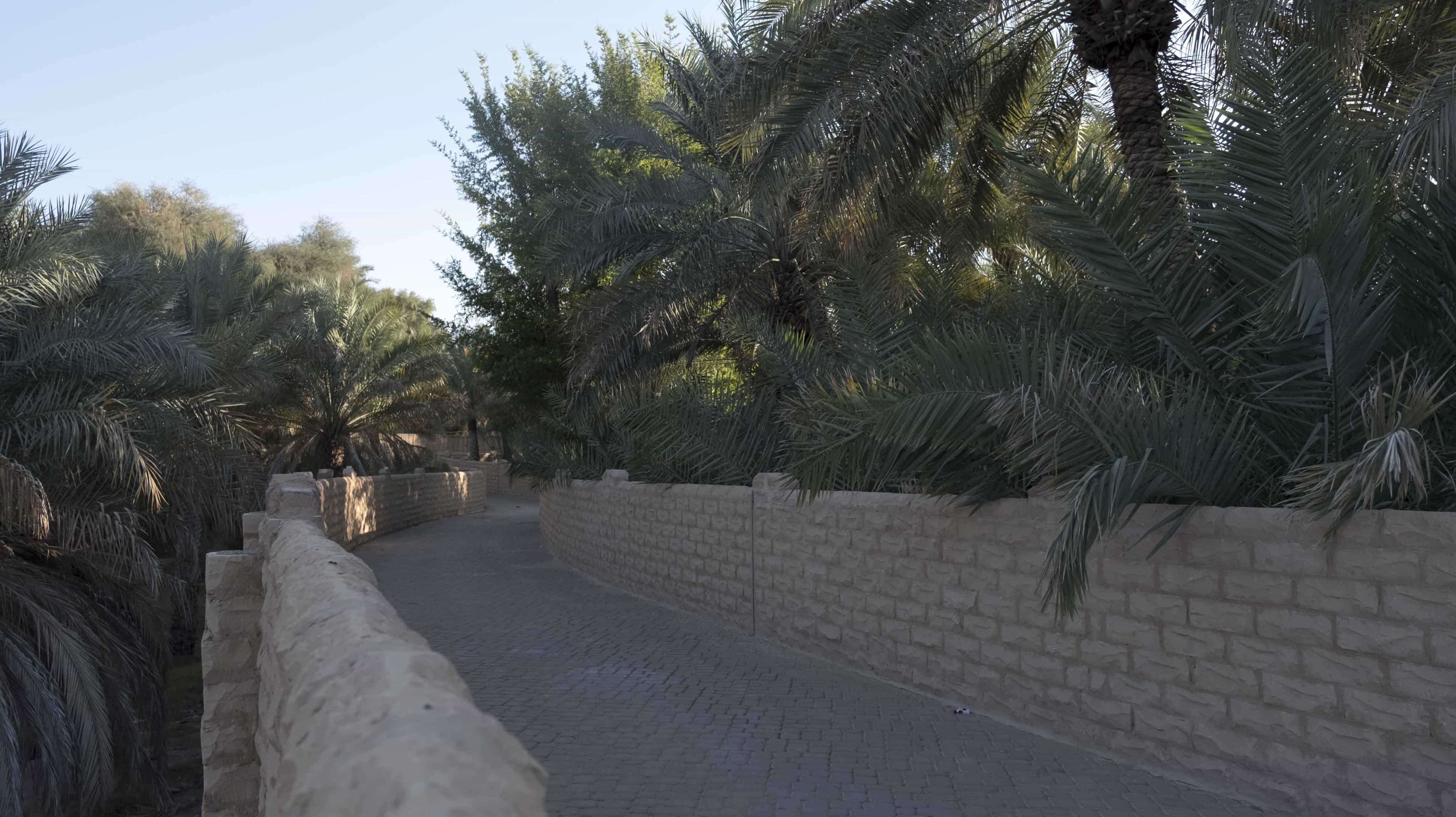 Al Qattara Oasis