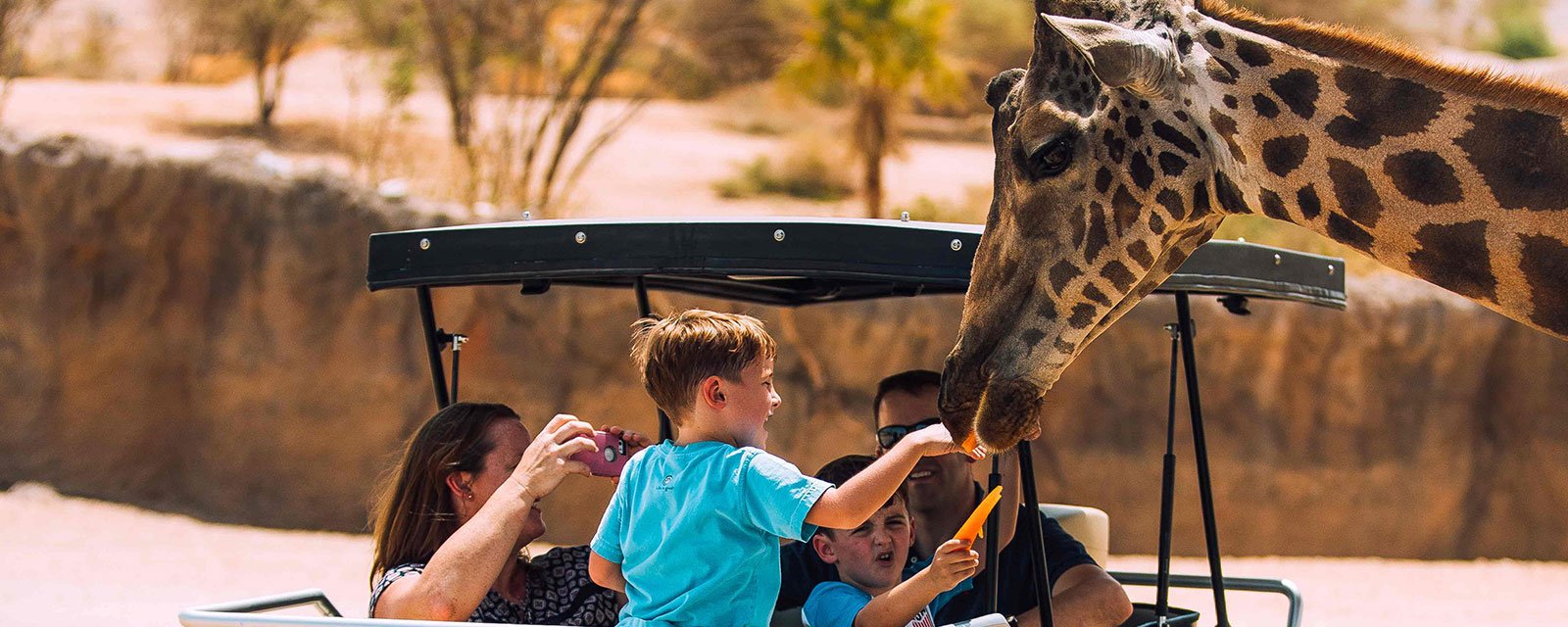 8. Зоопарк Аль-Айна (Al Ain Zoo)