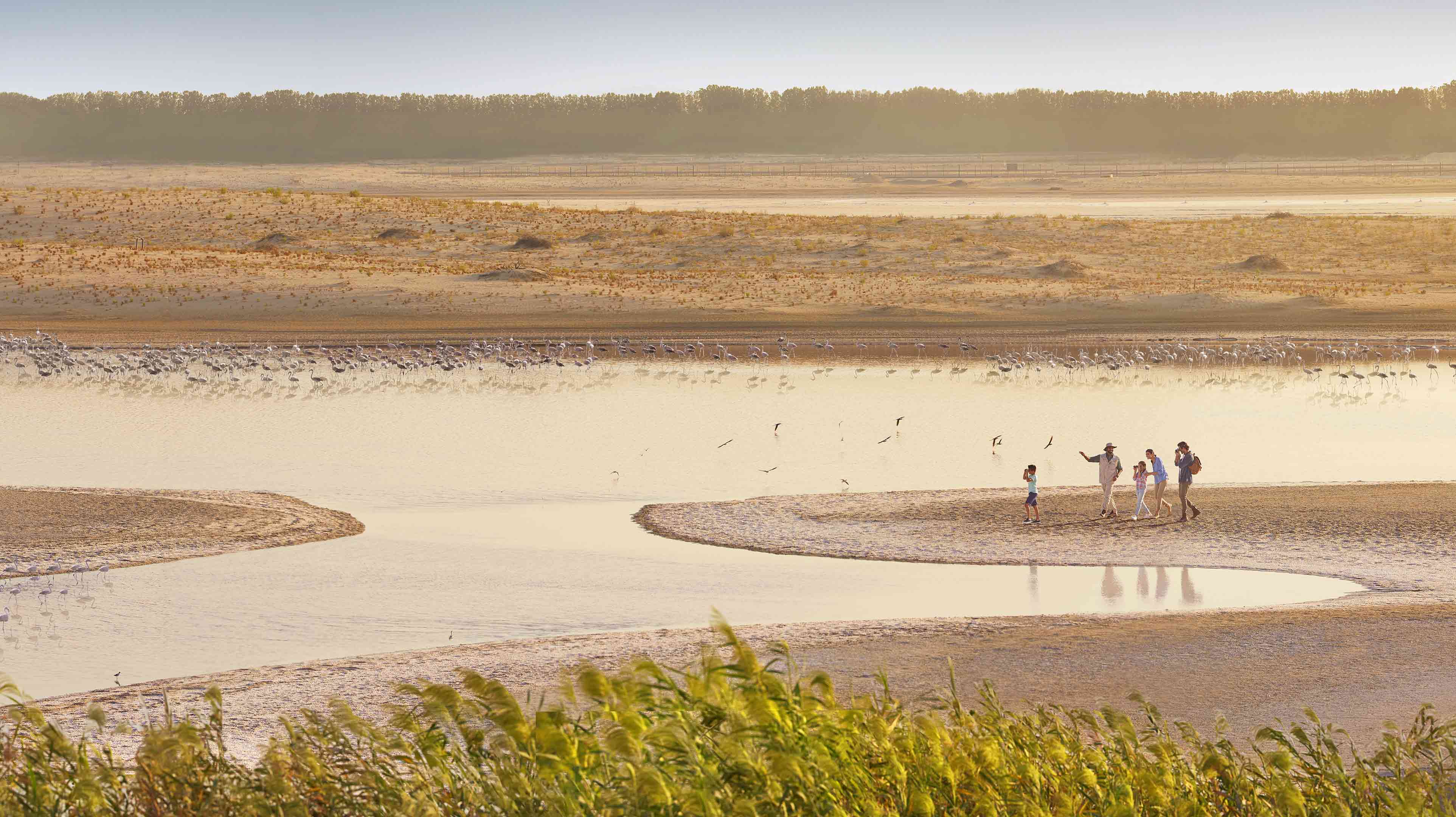 Überraschende Natur Seite Bestandteile