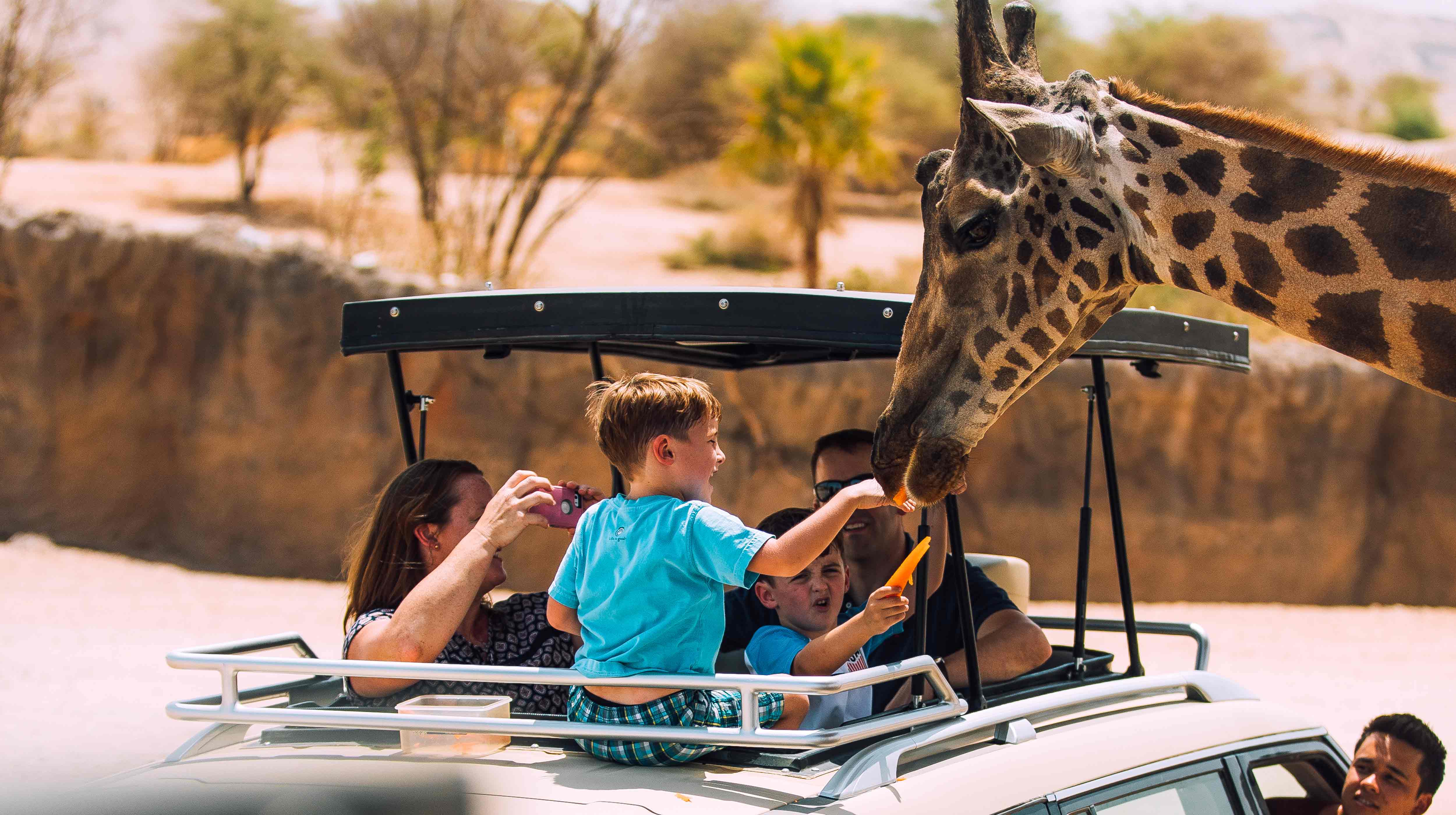 Familie füttert Giraffe im Safari-Gehege des Al Ain Zoos