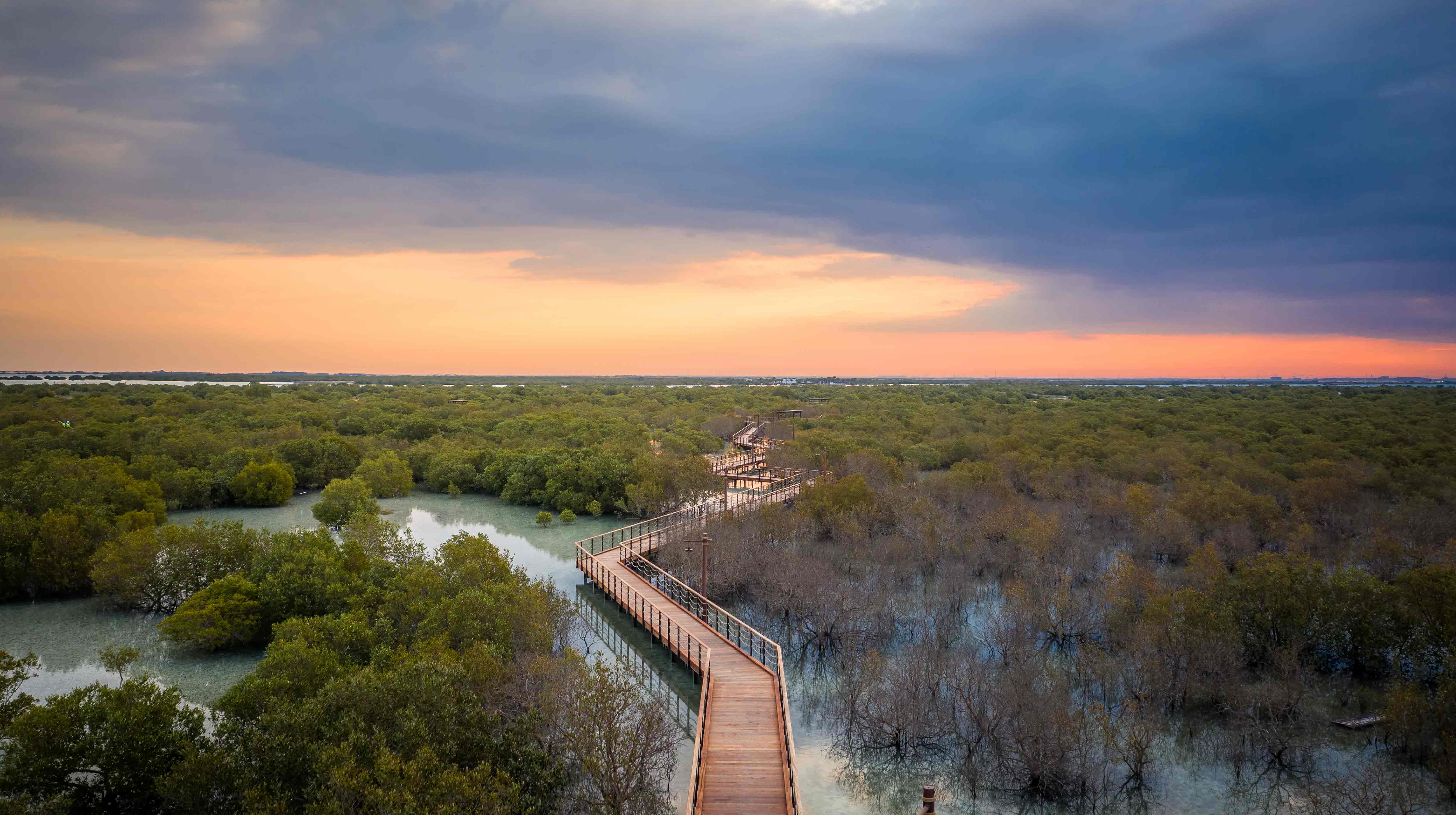 Panoramablick auf den Mangrovensteg im Jubail Mangrove Park bei Sonnenuntergang