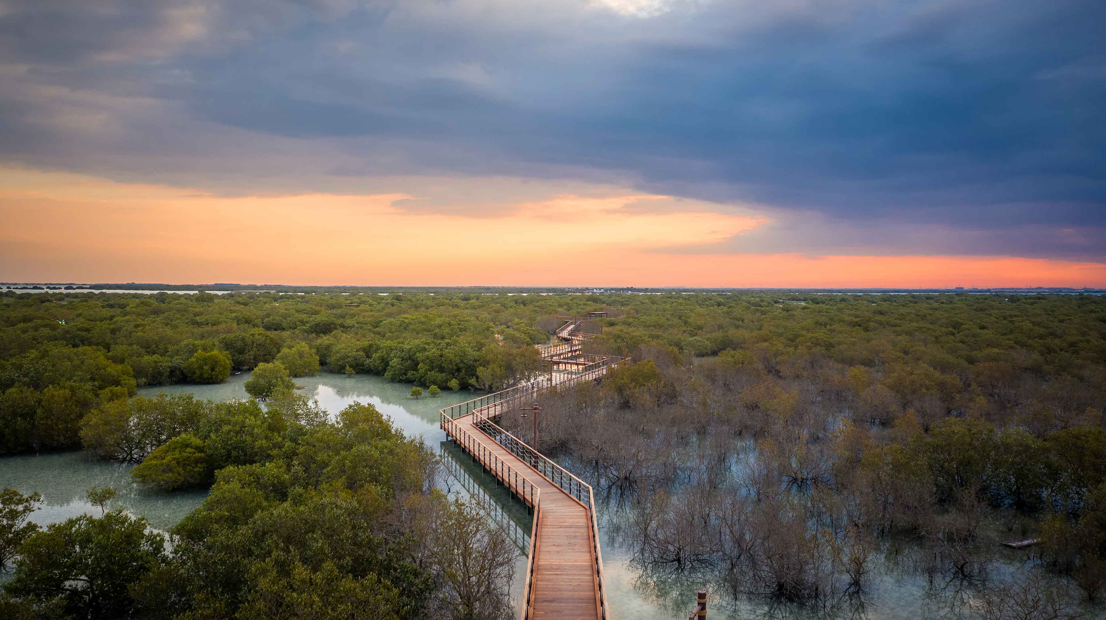 10. 朱拜勒红树林公园（Jubail Mangrove Park）