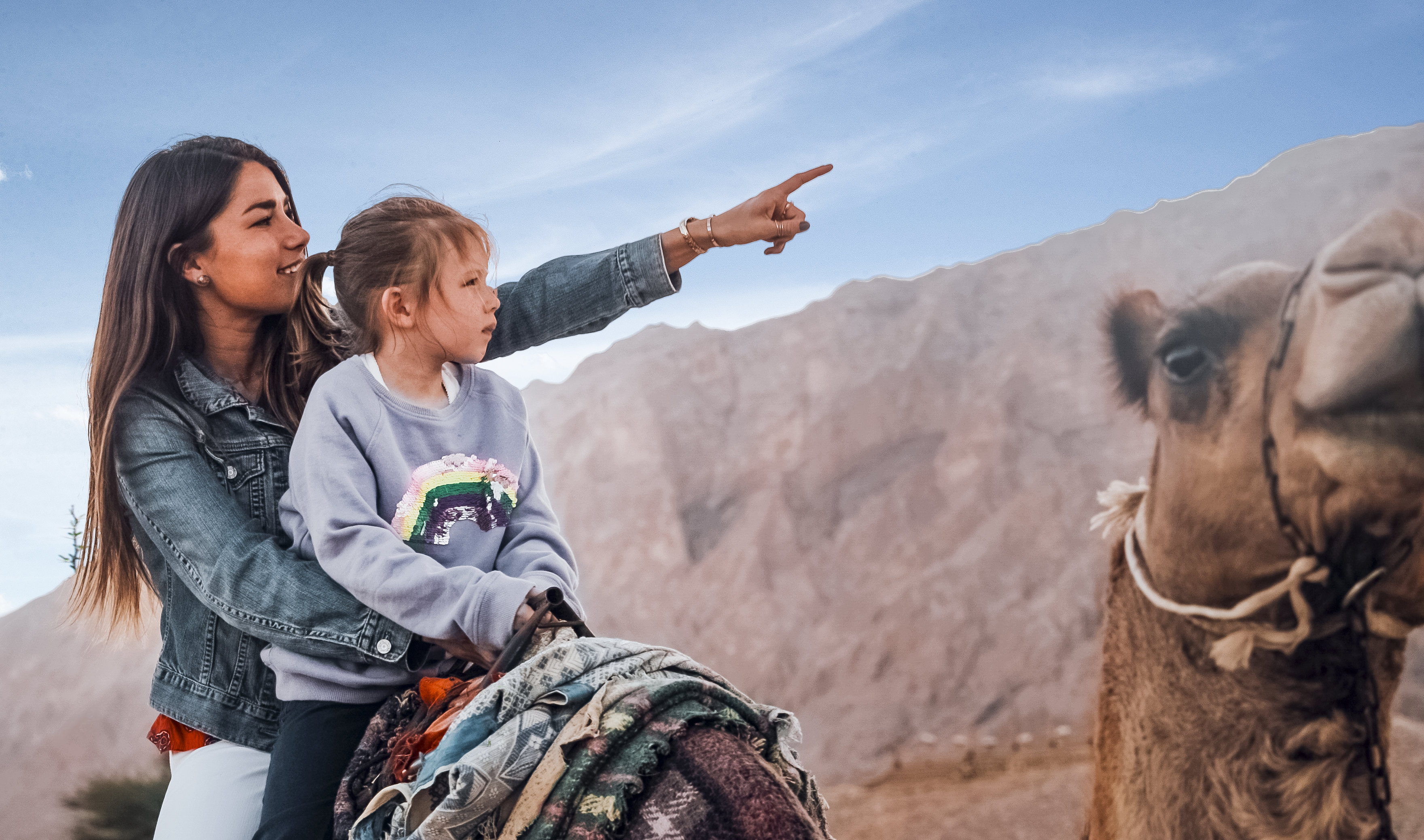  Explorez le Jebel Hafit Desert Park à dos de chameau et découvrez les paysages désertiques envoûtants d’Abu Dhabi, un moment de complicité entre nature et culture.