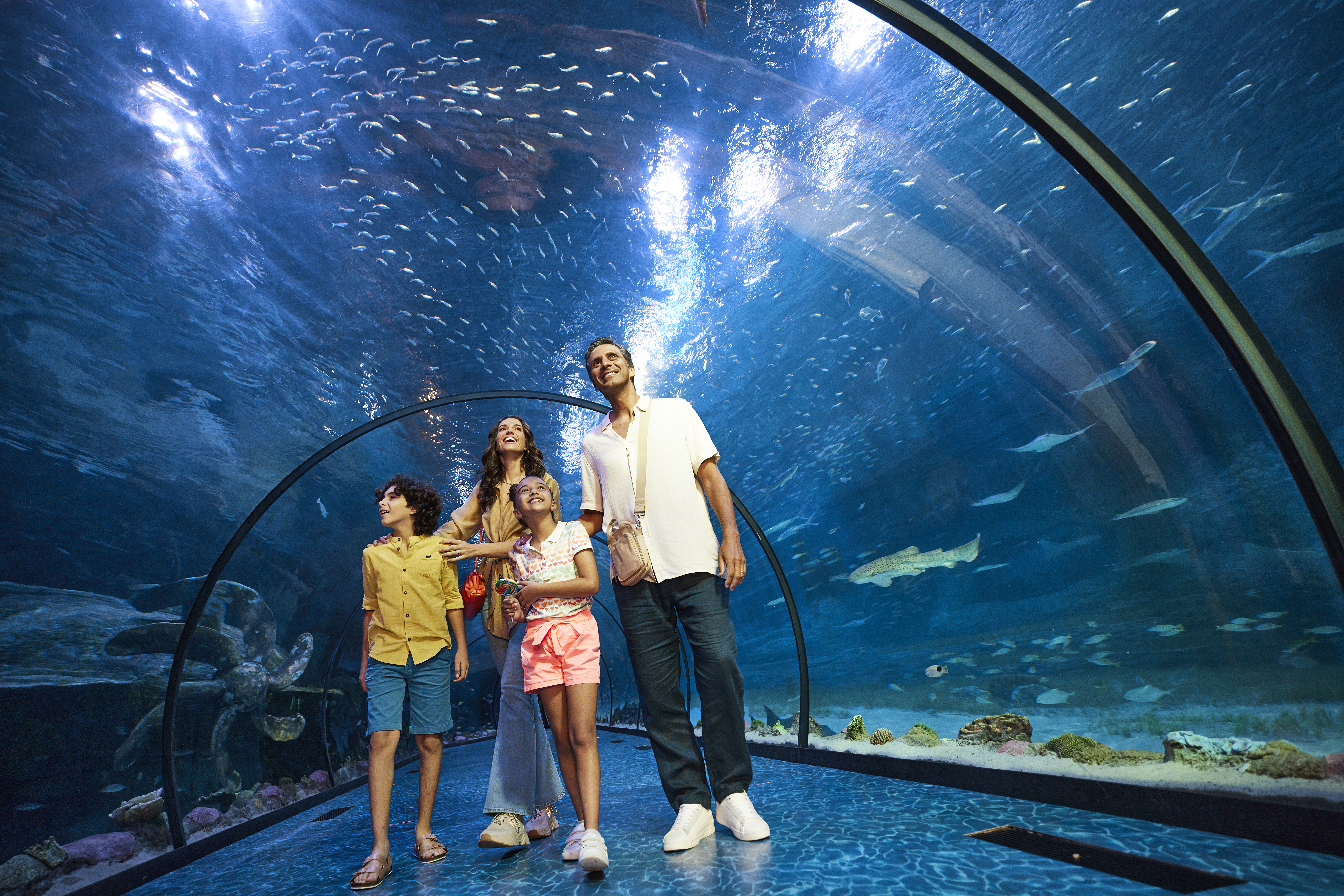  Plongez dans les profondeurs fascinantes de l'Aquarium national d'Abu Dhabi, où les enfants découvrent des espèces marines rares à travers des expériences interactives et immersives.