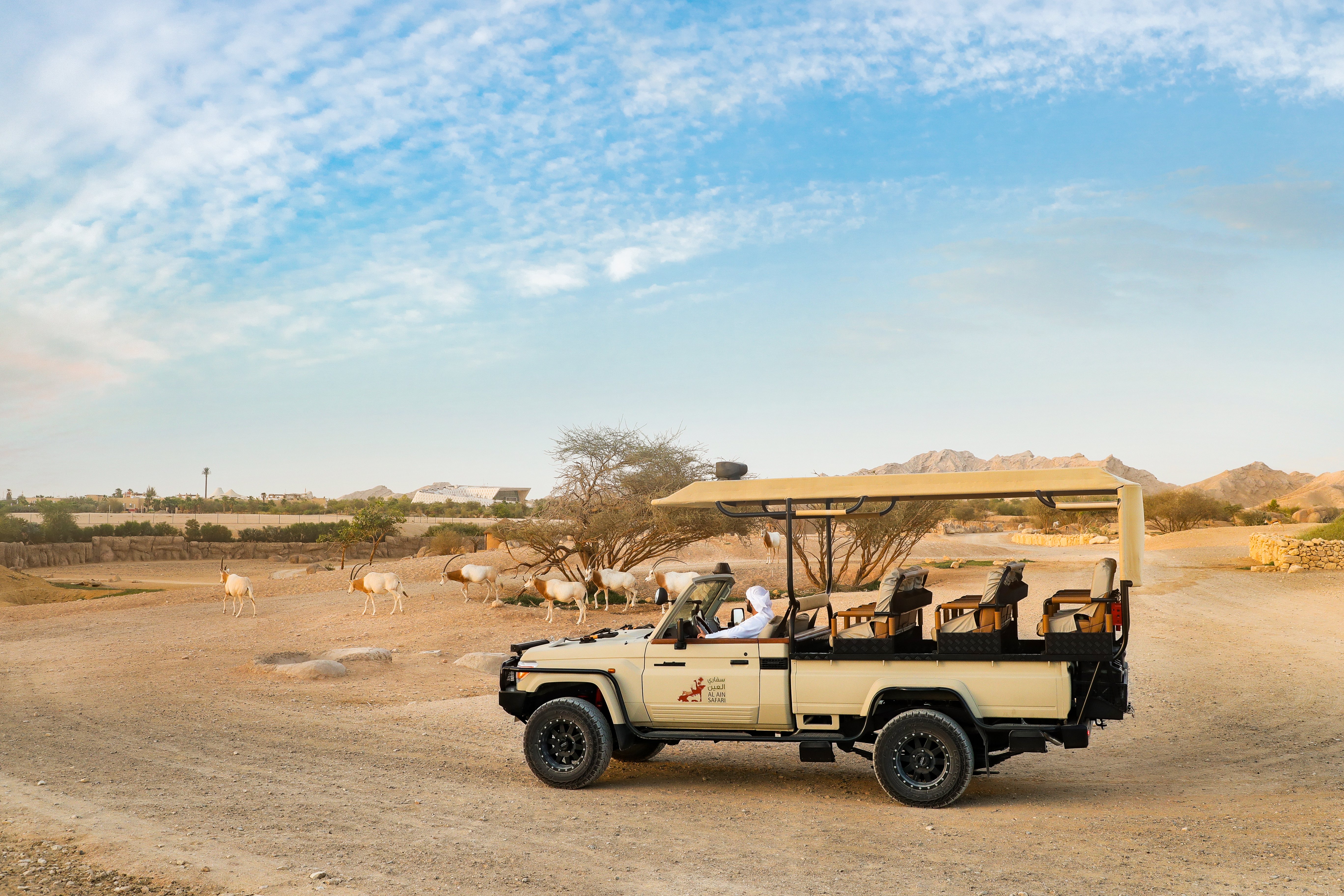 A truck is roaming in al ain park