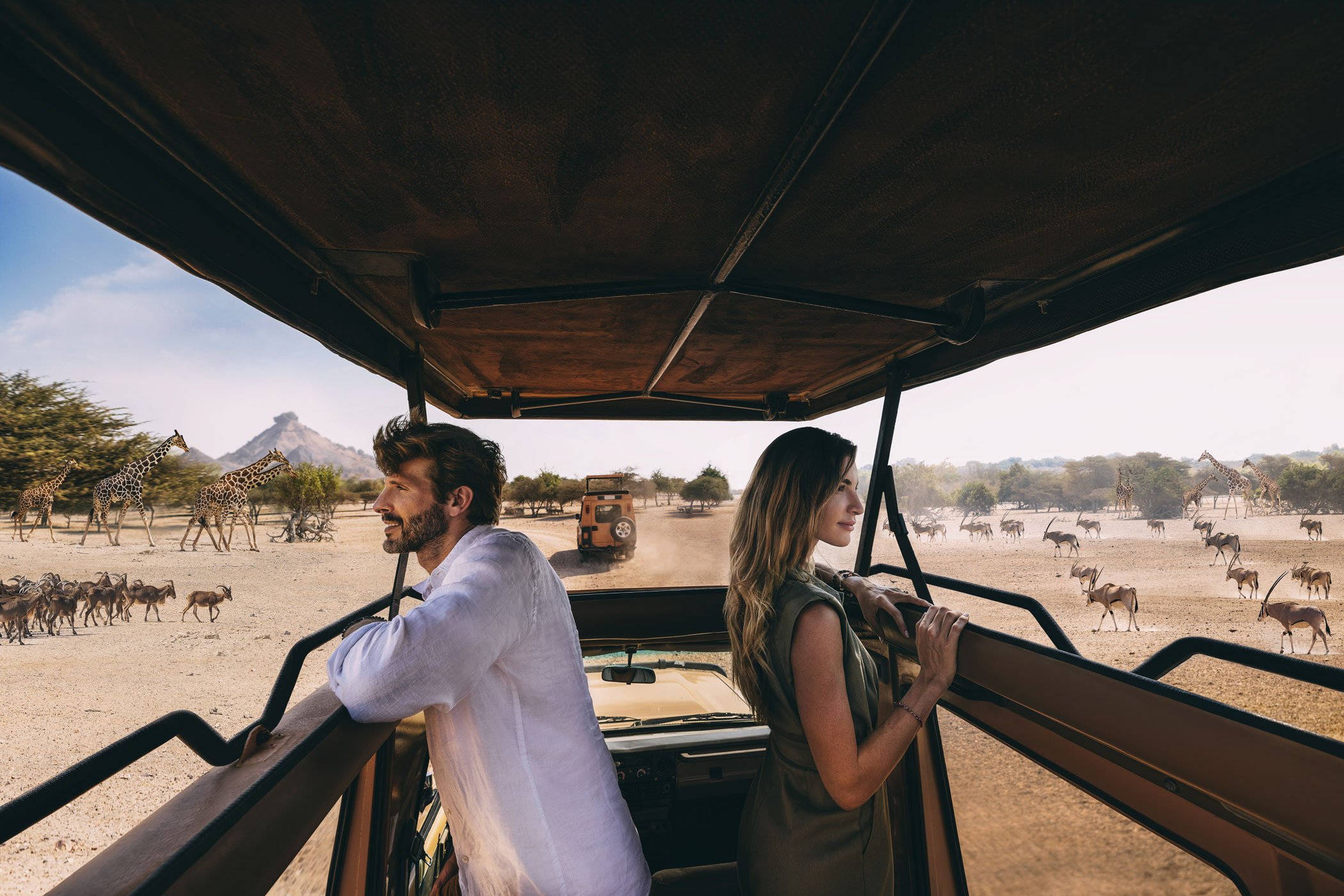 3. Safari sur l’Île de Sir Bani Yas