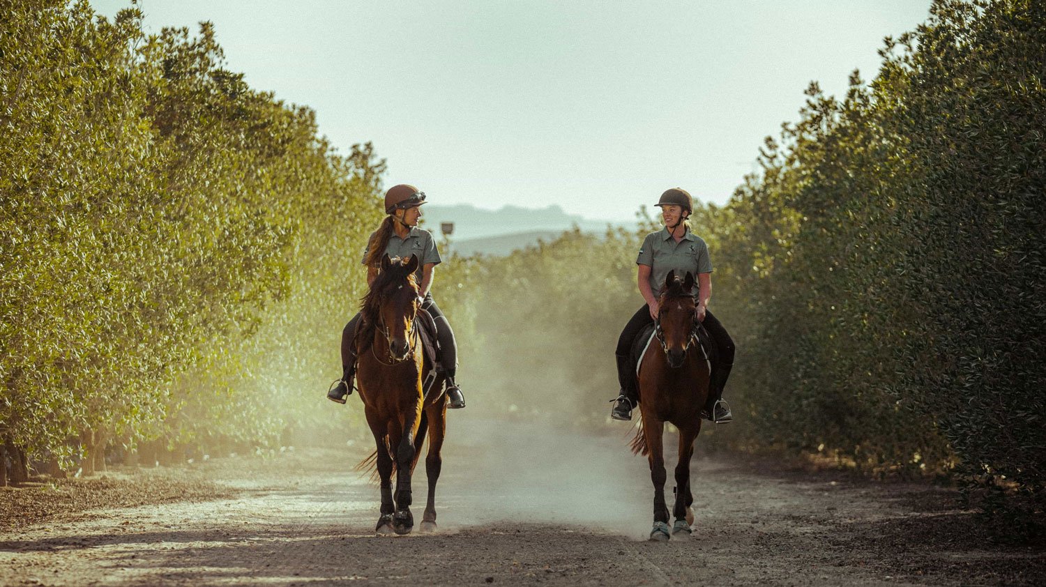 Horseback riding