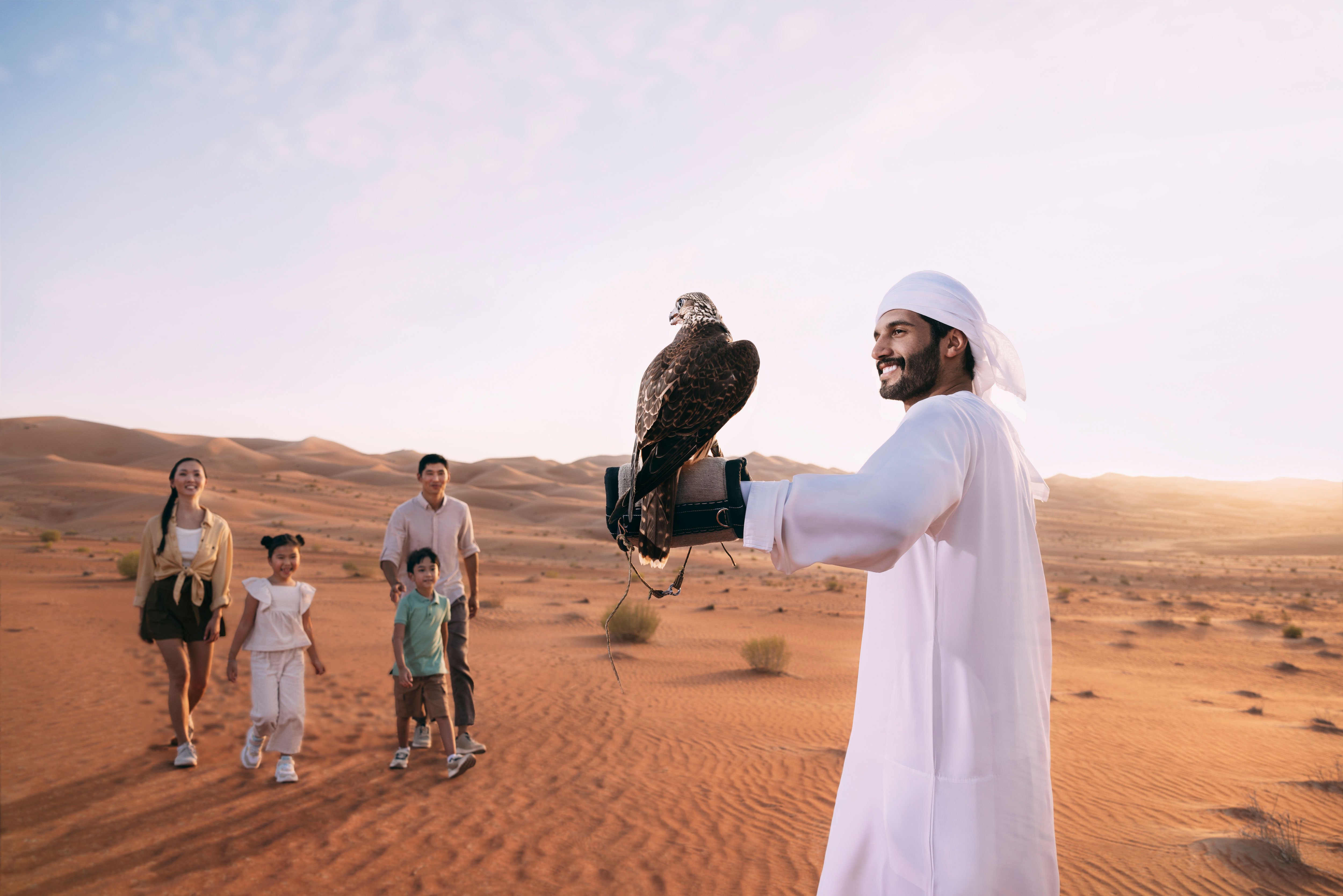 falconry