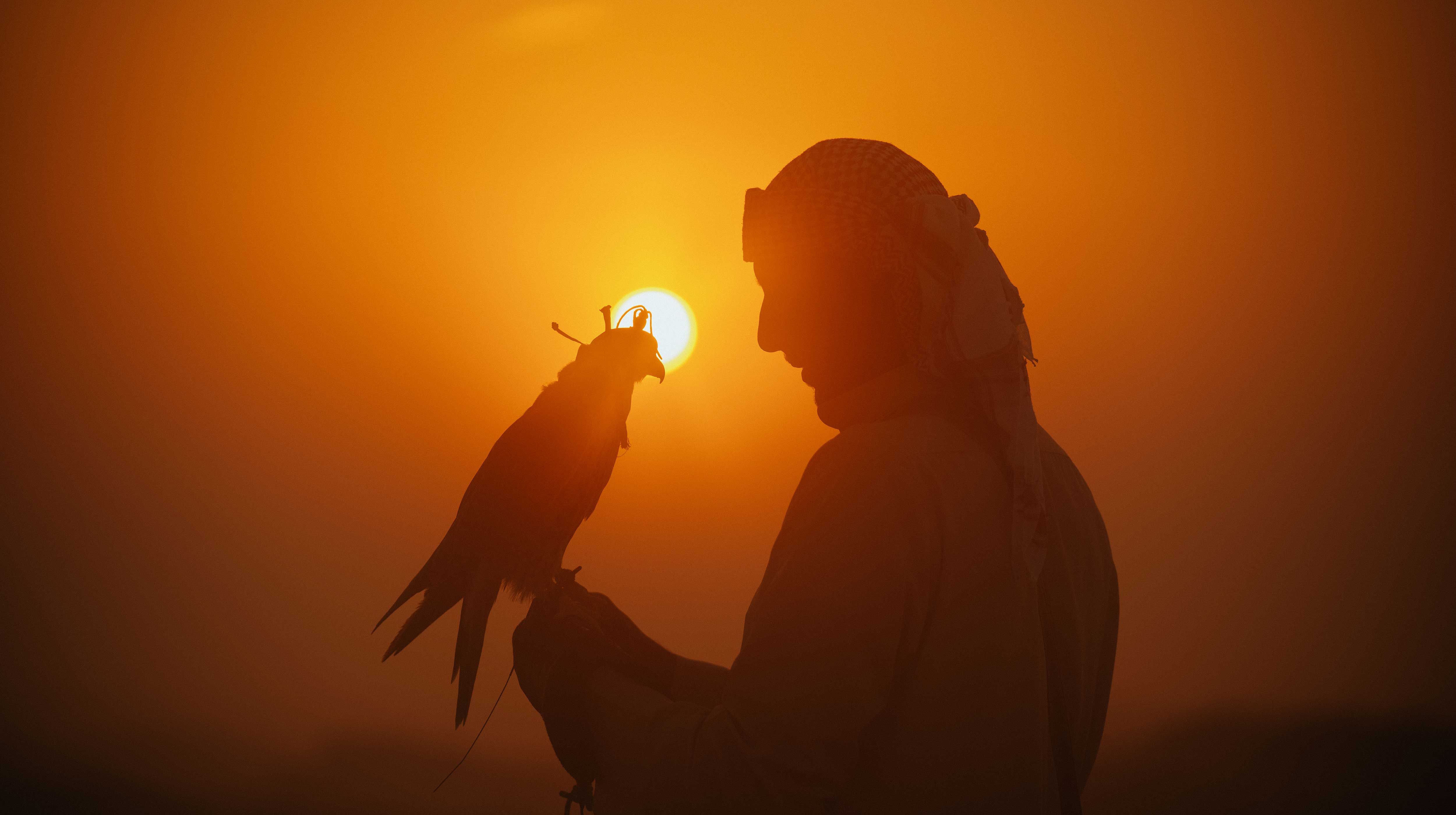 Ein Mann in einer traditionellen arabischen Kopfbedeckung hält einen Falken, während die Sonne im Hintergrund untergeht