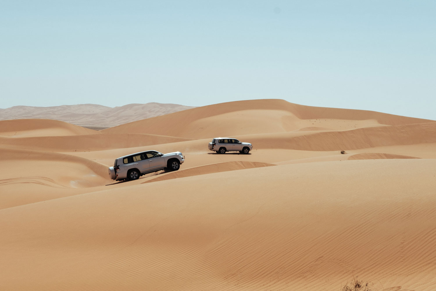 Explore Abu Dhabi's desert