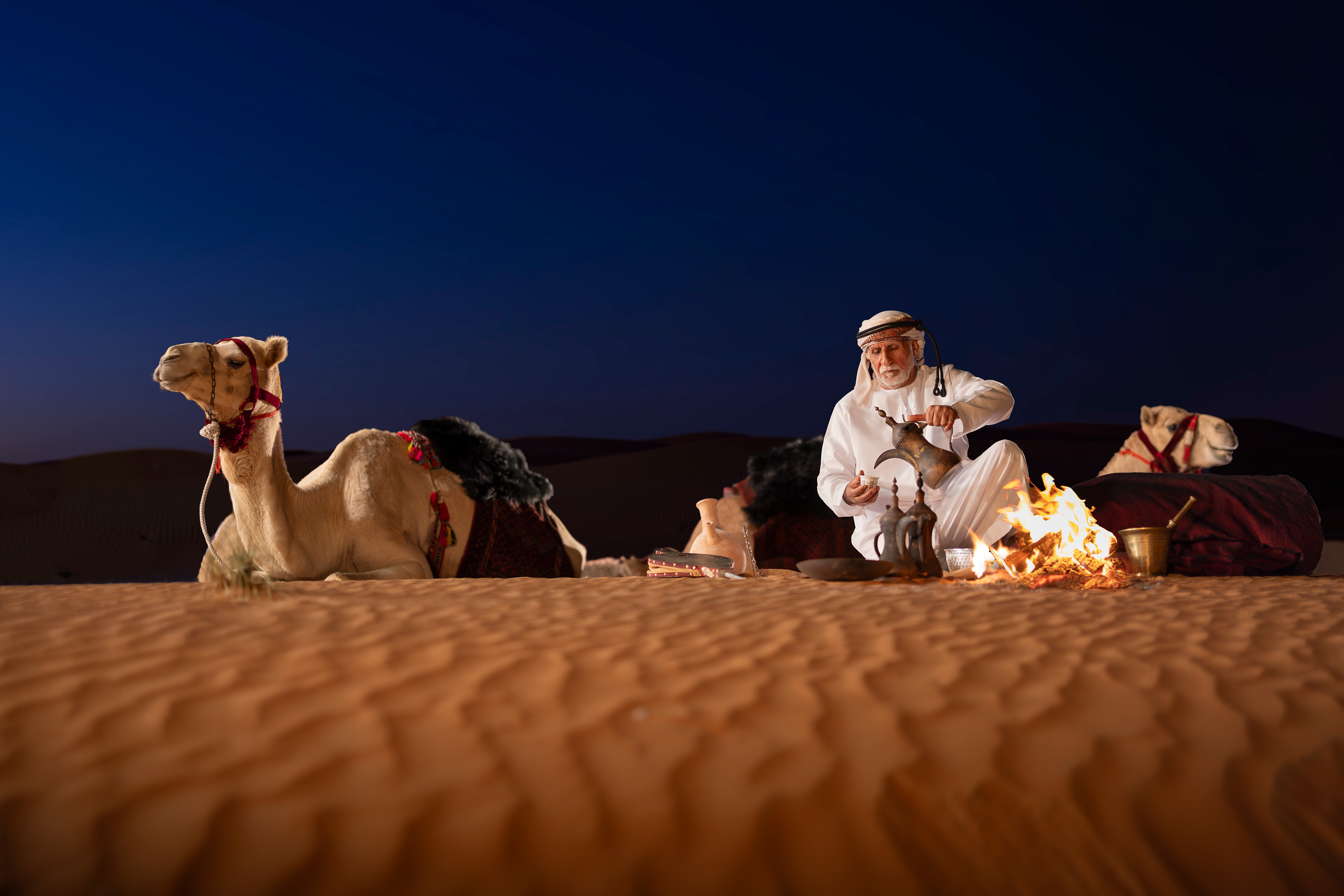Camel milk chocolates