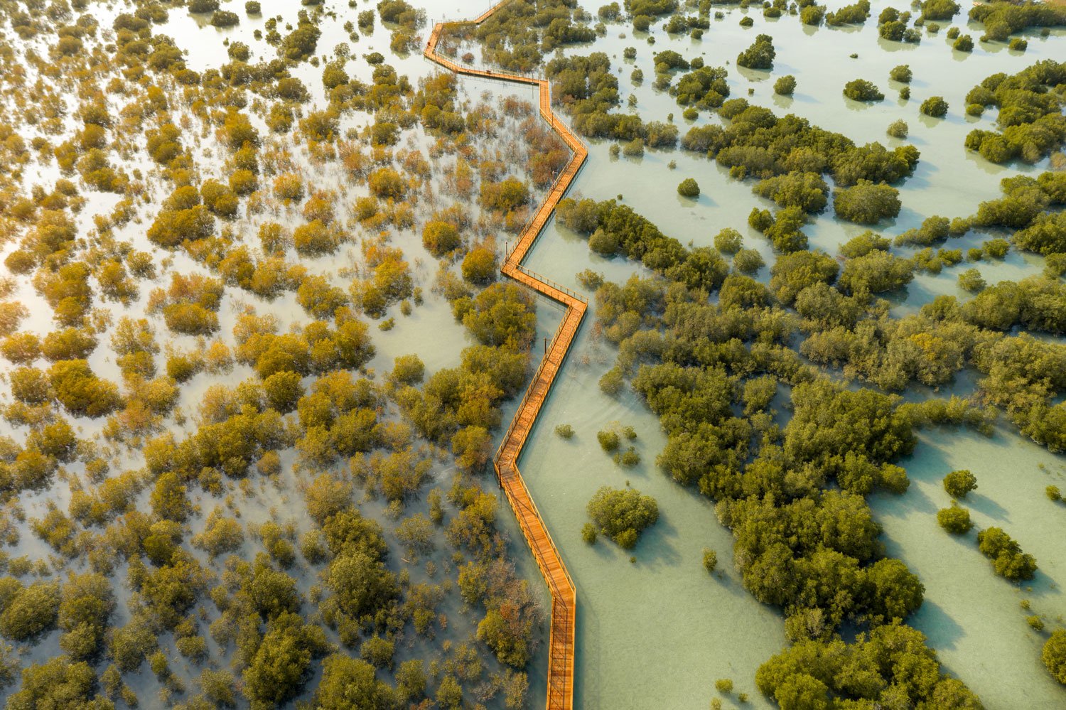 Jubail Mangrove Park