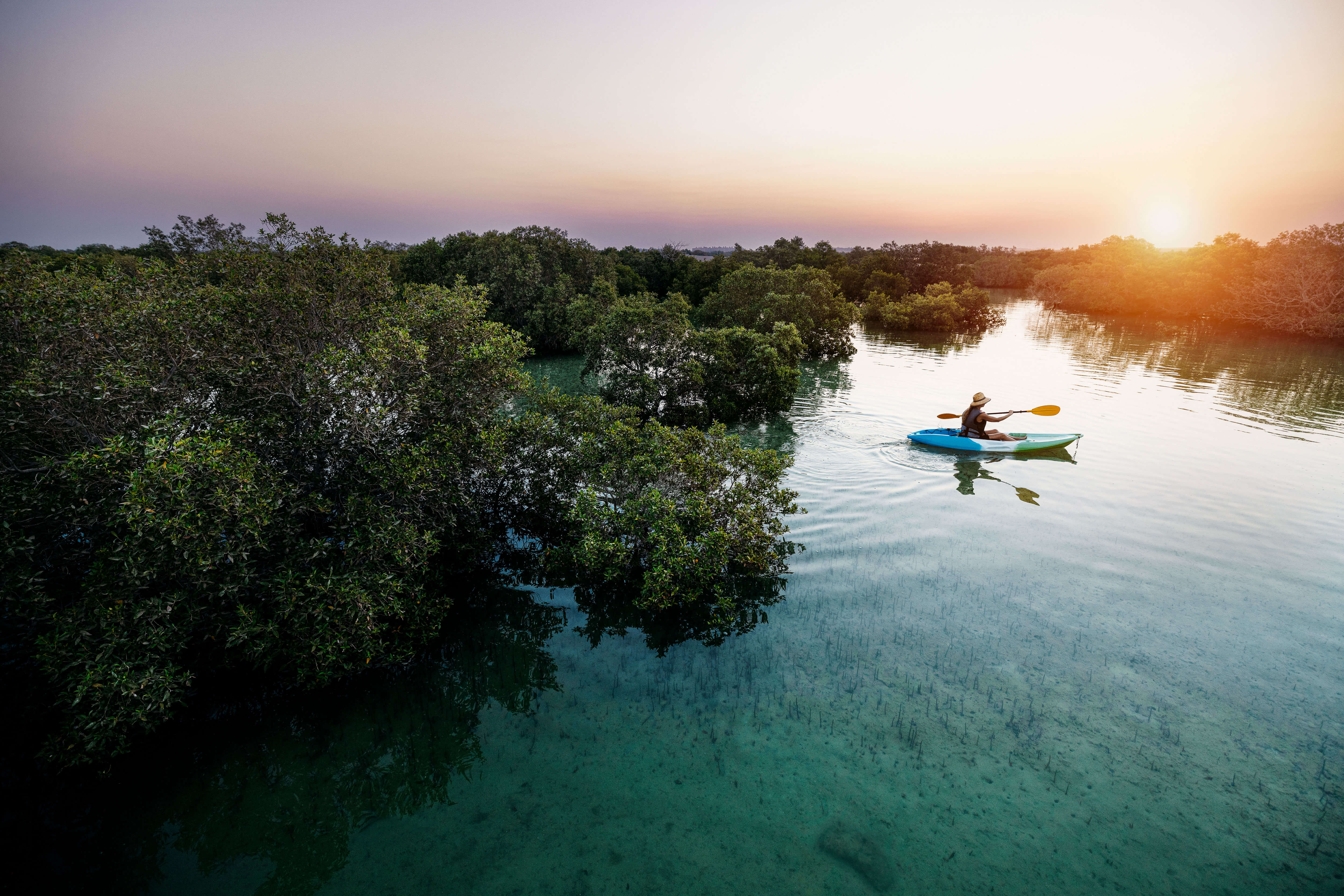 mosque and mangroves layover adventure