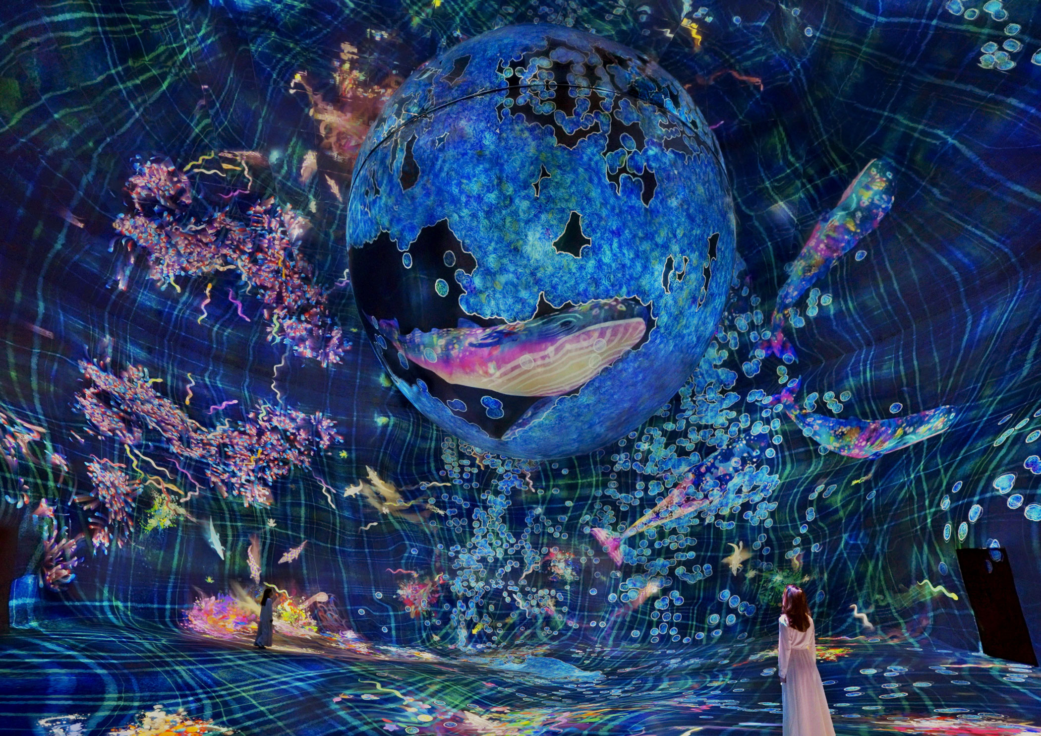 A home for infinite curiosity