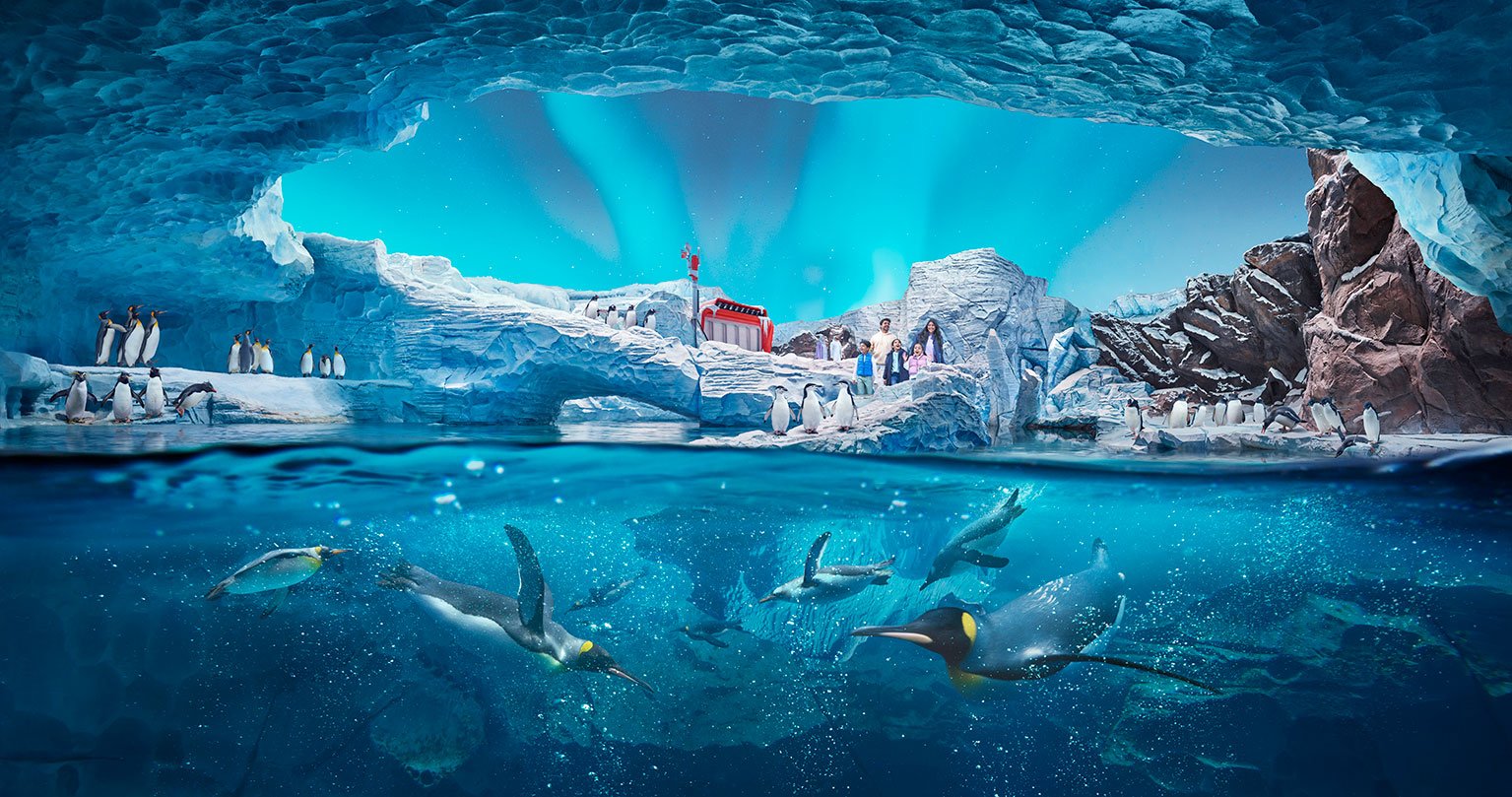 Животные в SeaWorld® Abu Dhabi