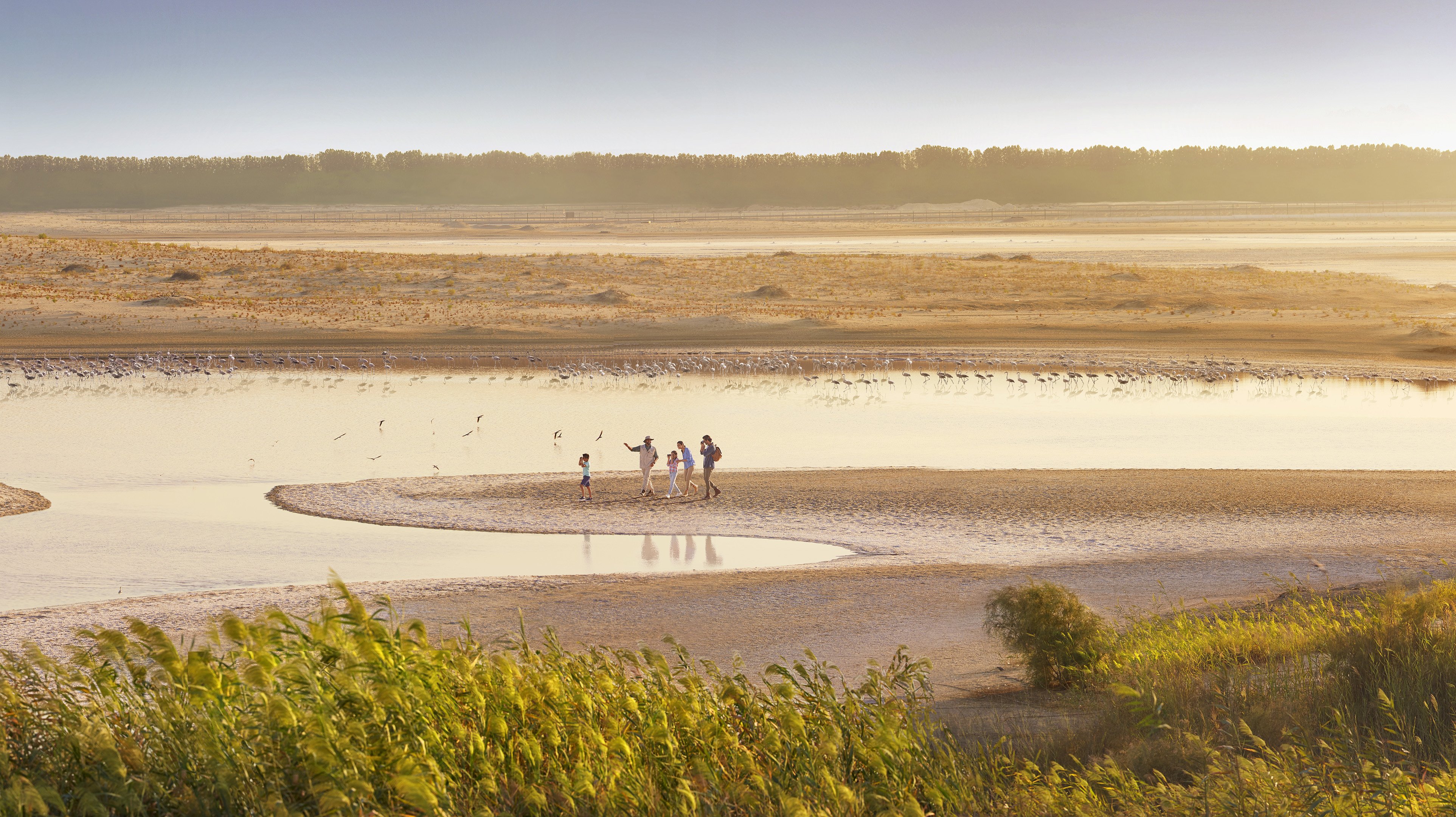 al wathba wetland reserve