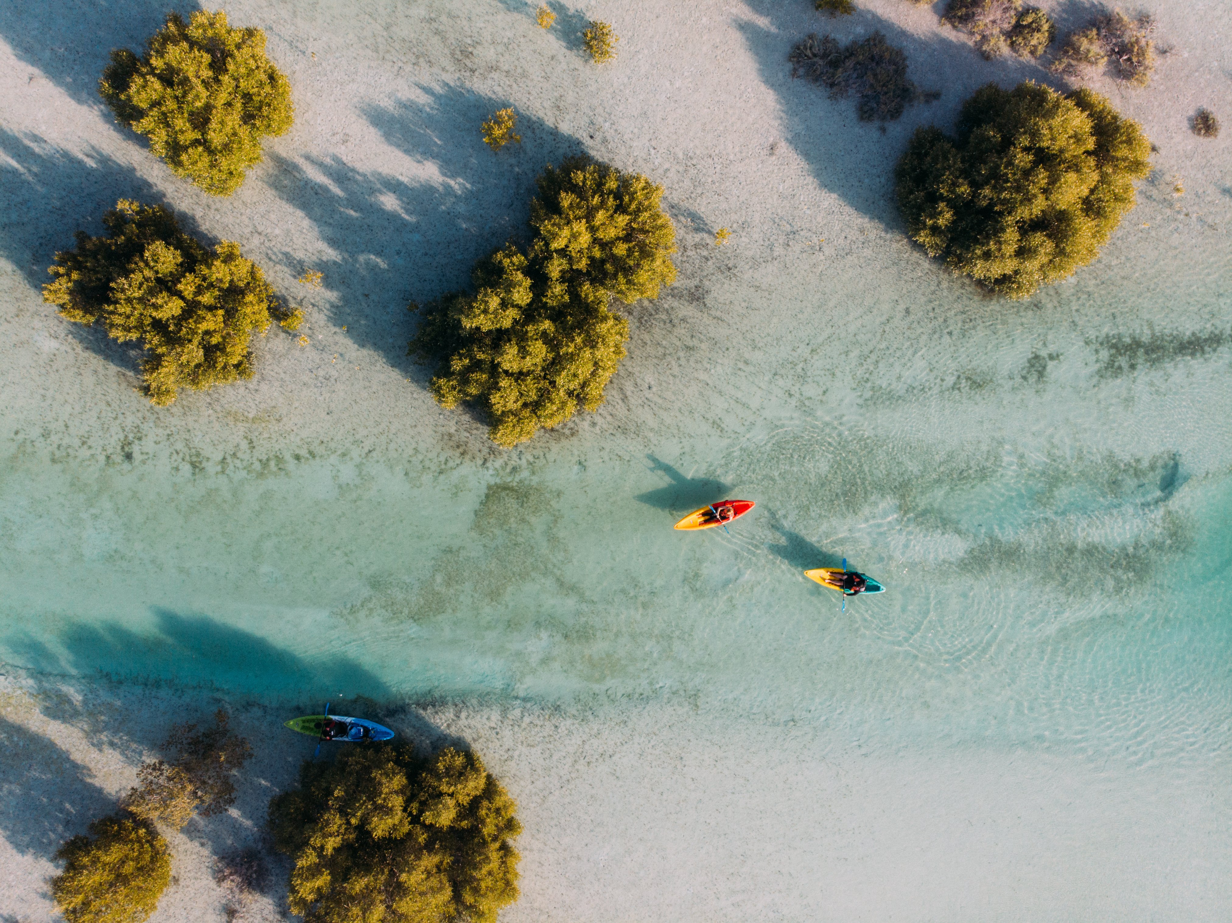 Three kayaks on the sandy shores at Jubail Mangrove Park 