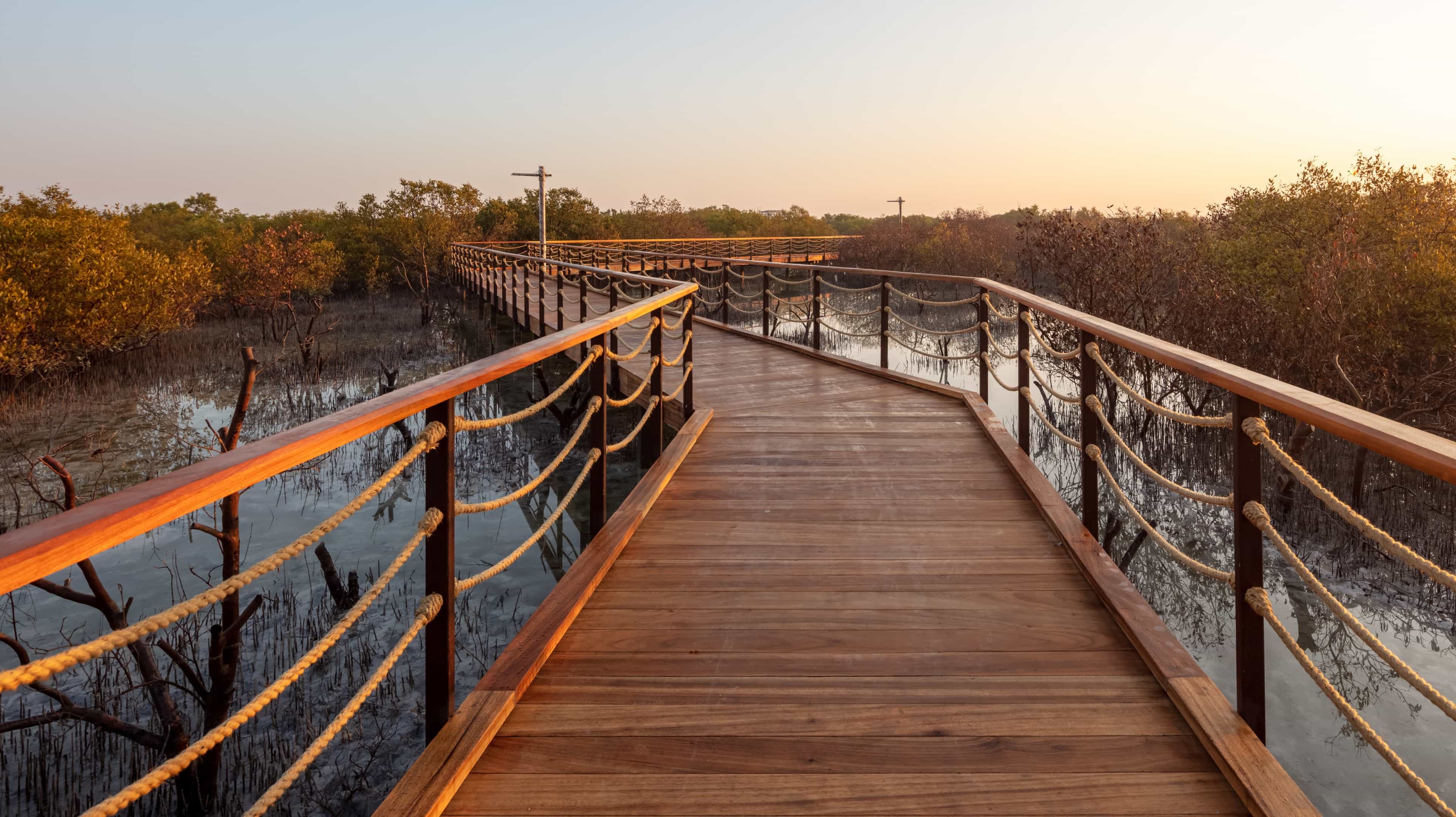 Jubail Mangrove Park