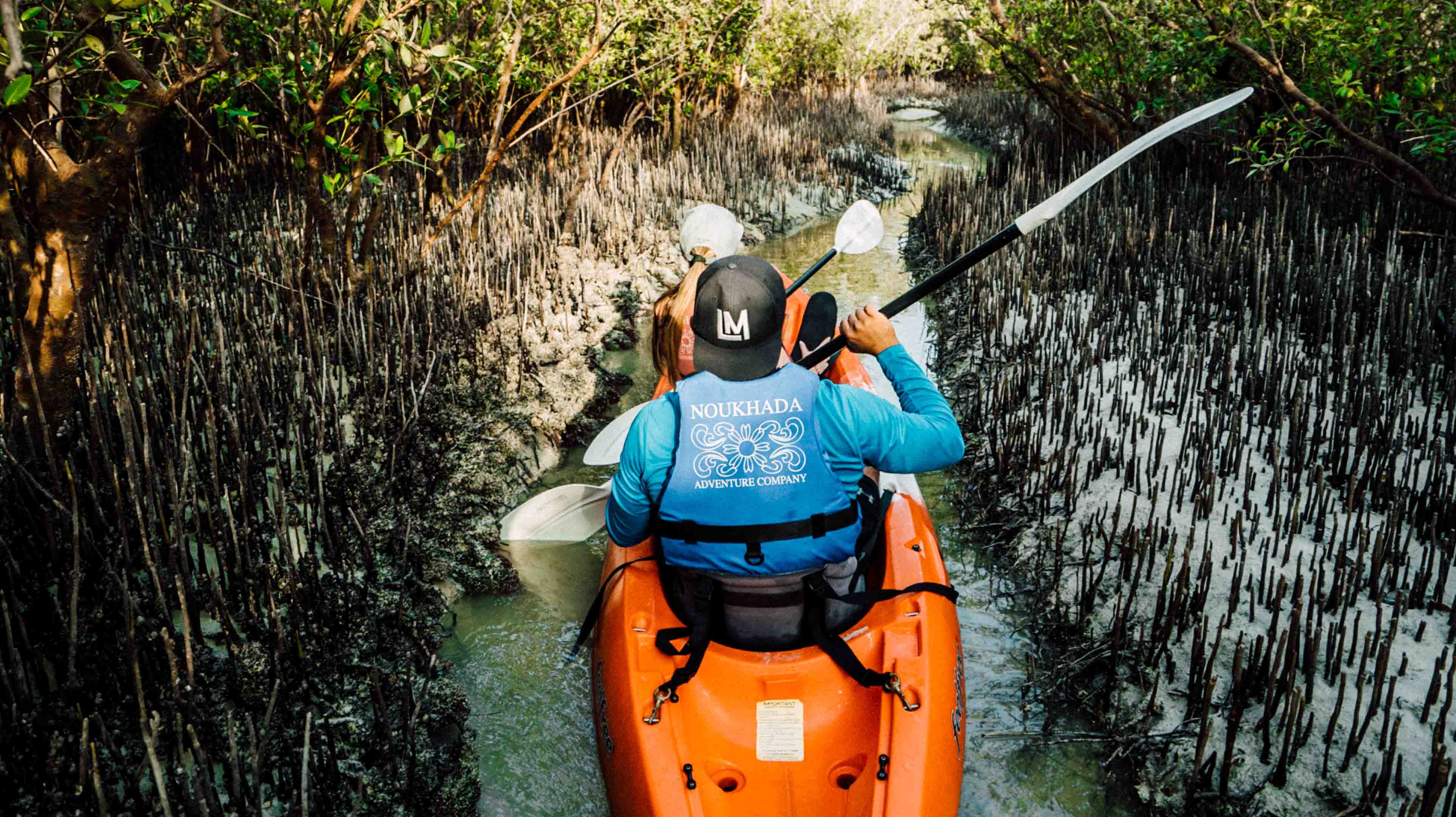 Mangrove National Park