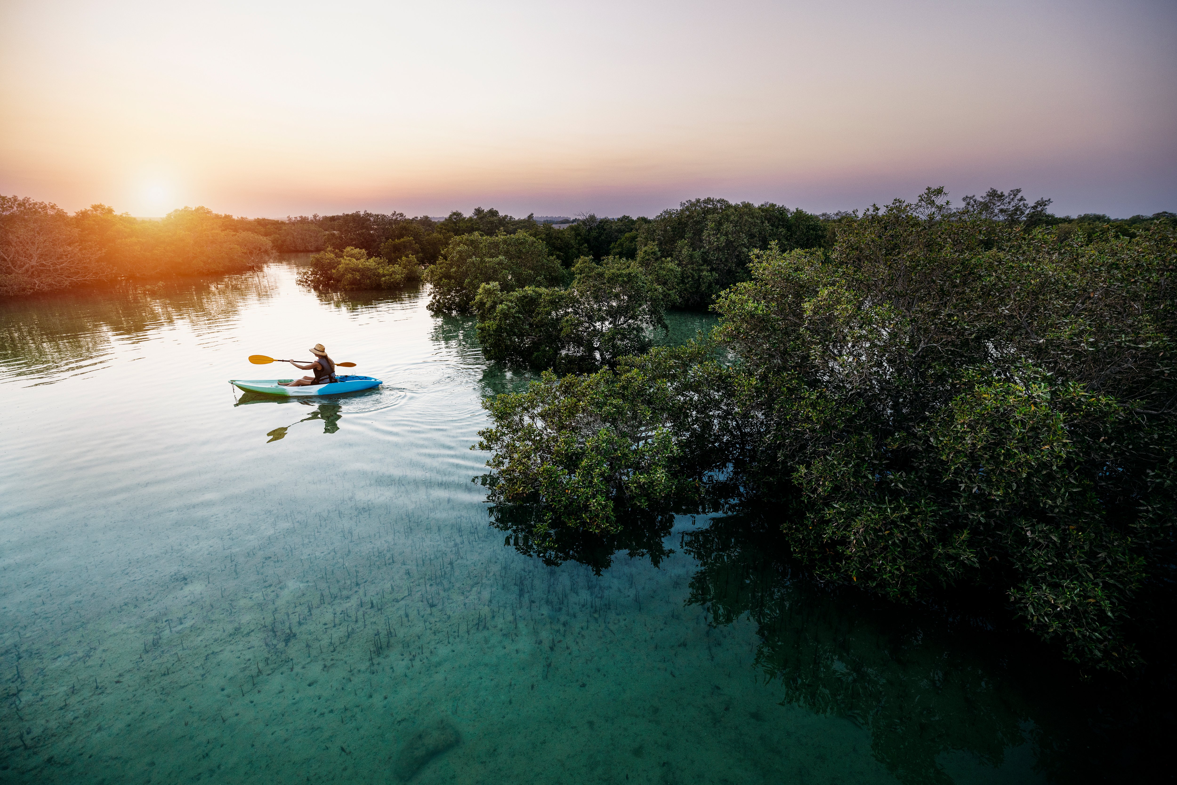 Woman on a blue and green kayak amidst mangroves trees in Mangrove National Park