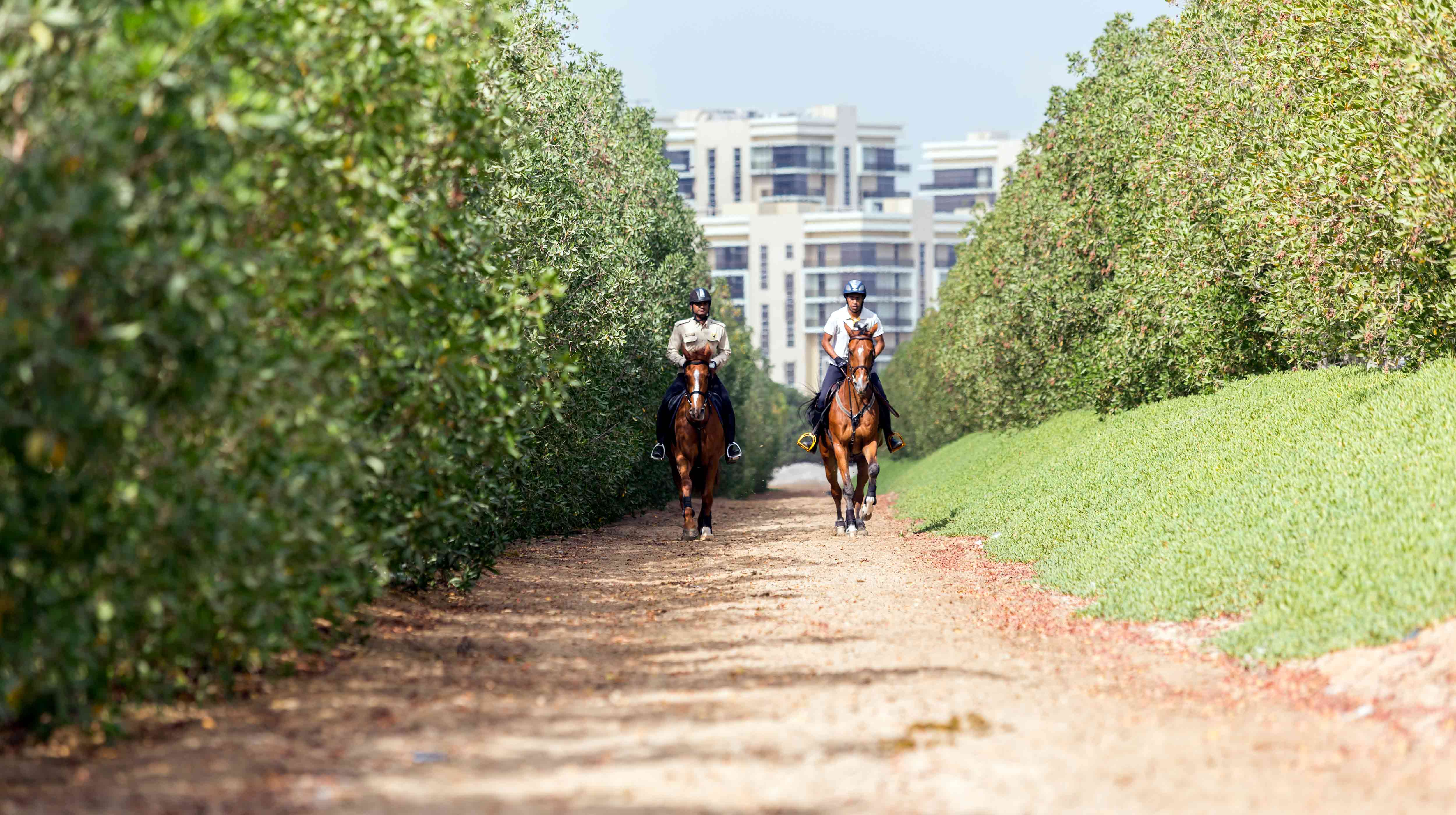 Международный спортивный комплекс Al Forsan International Sports Resort